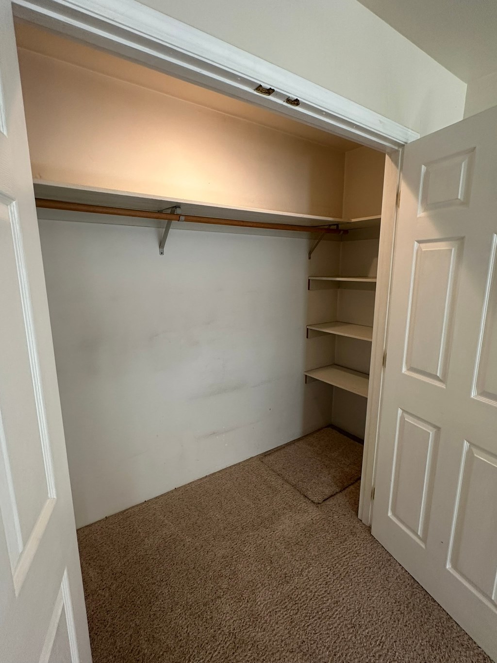 A white door is open to a small closet with a shelving unit.