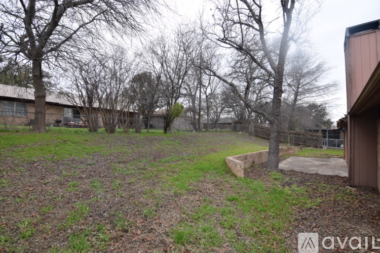 A backyard with a brown shed and a tree with no leaves.