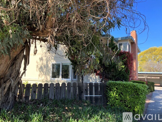 A house with a tree in front of it is for sale.