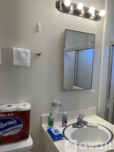 A bathroom with a sink, mirror, and toilet paper.