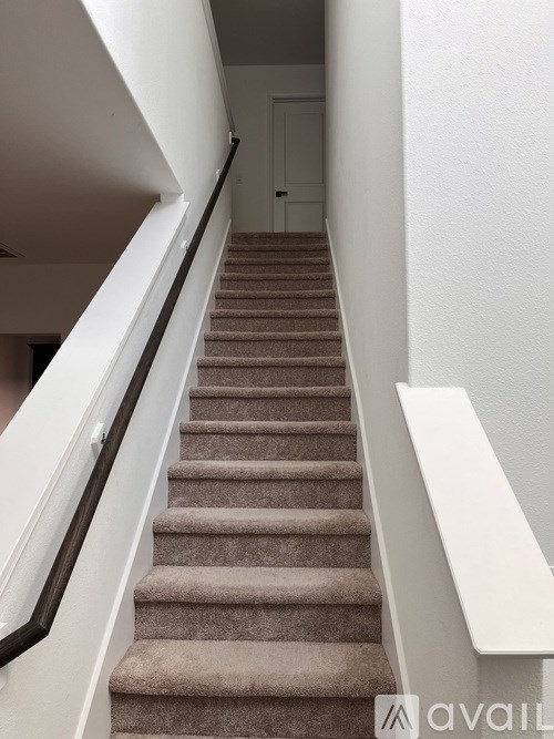 A staircase with a beige carpeted runner and white handrails.