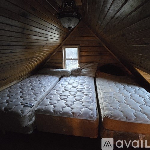 Two twin beds in a room with wooden walls and a window.