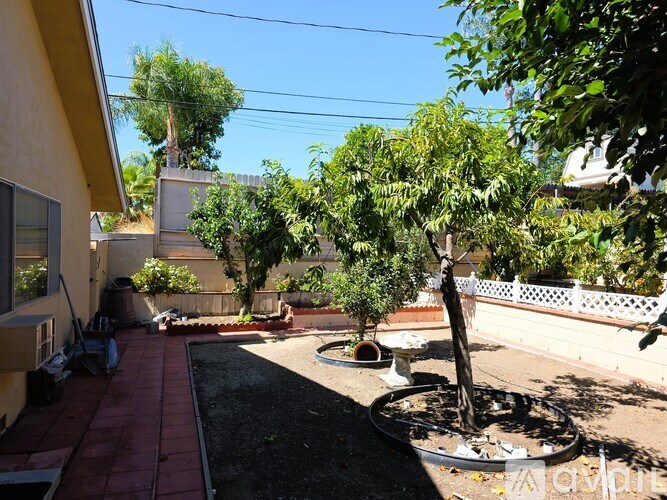 A backyard with a tree, a small garden, and a red pathway.
