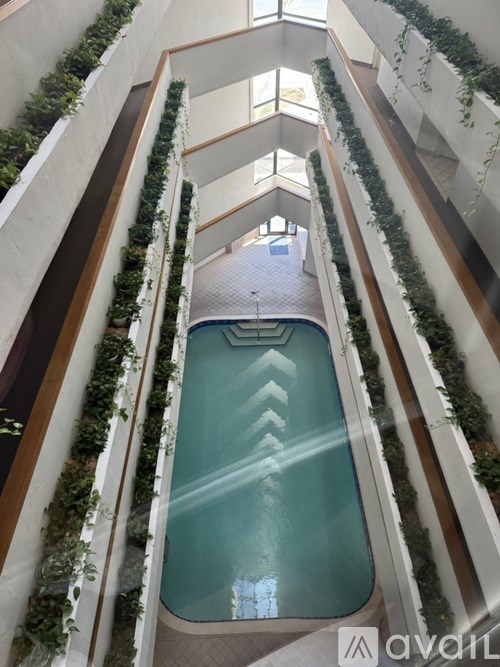 A swimming pool in a building surrounded by plants.