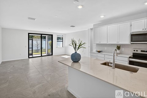 A modern kitchen with a large island and a plant on it.