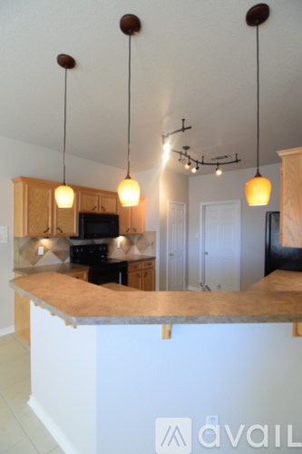 A kitchen with a counter and cabinets.