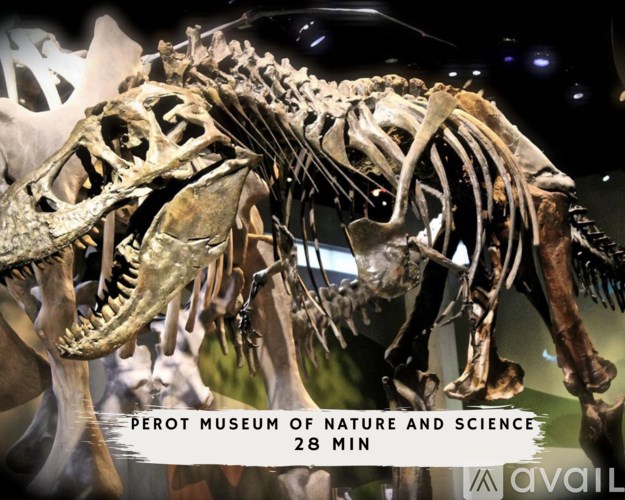 A dinosaur skeleton is displayed at the Perot Museum of Nature and Science.