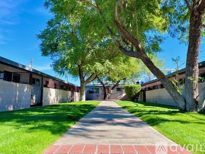 A long pathway with trees on both sides.