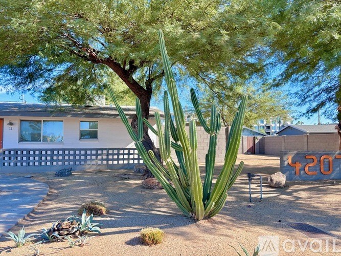 A cactus stands in the foreground of a desert-like landscape with a house in the background.
