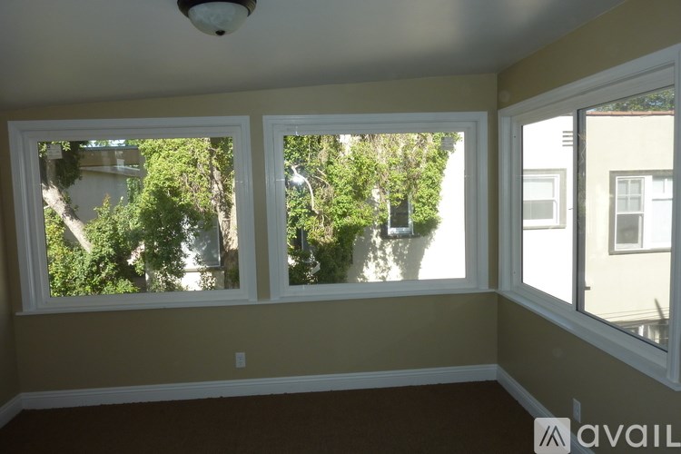 A room with a window overlooking a tree.