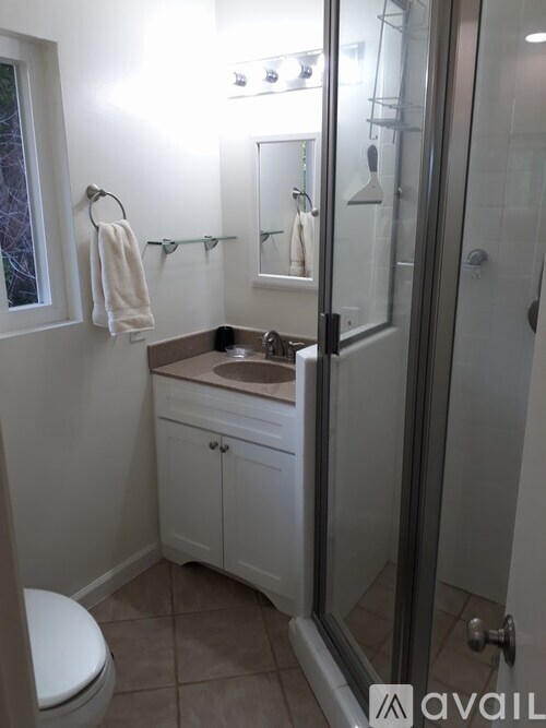 A bathroom with a toilet, sink, and a shower.