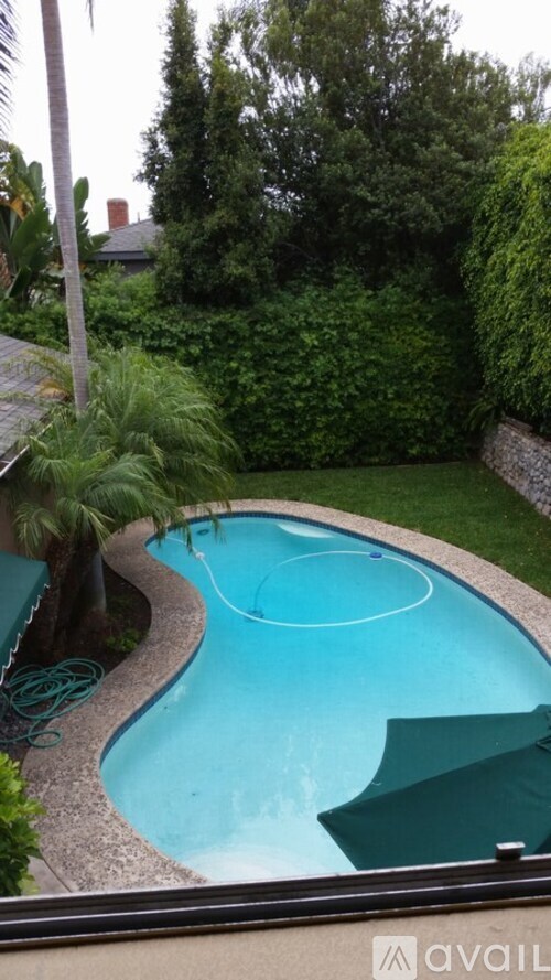 A small kidney-shaped pool surrounded by a garden.