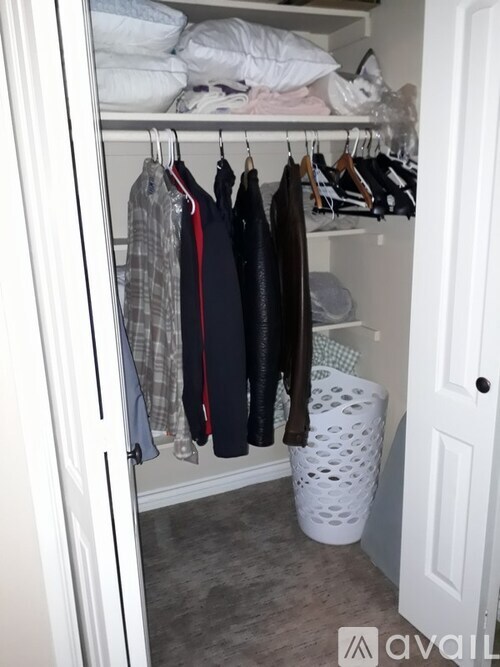 A white closet with clothes hanging and a white laundry basket.