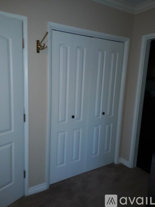 A white door with a brass handle is in a room with a carpeted floor.