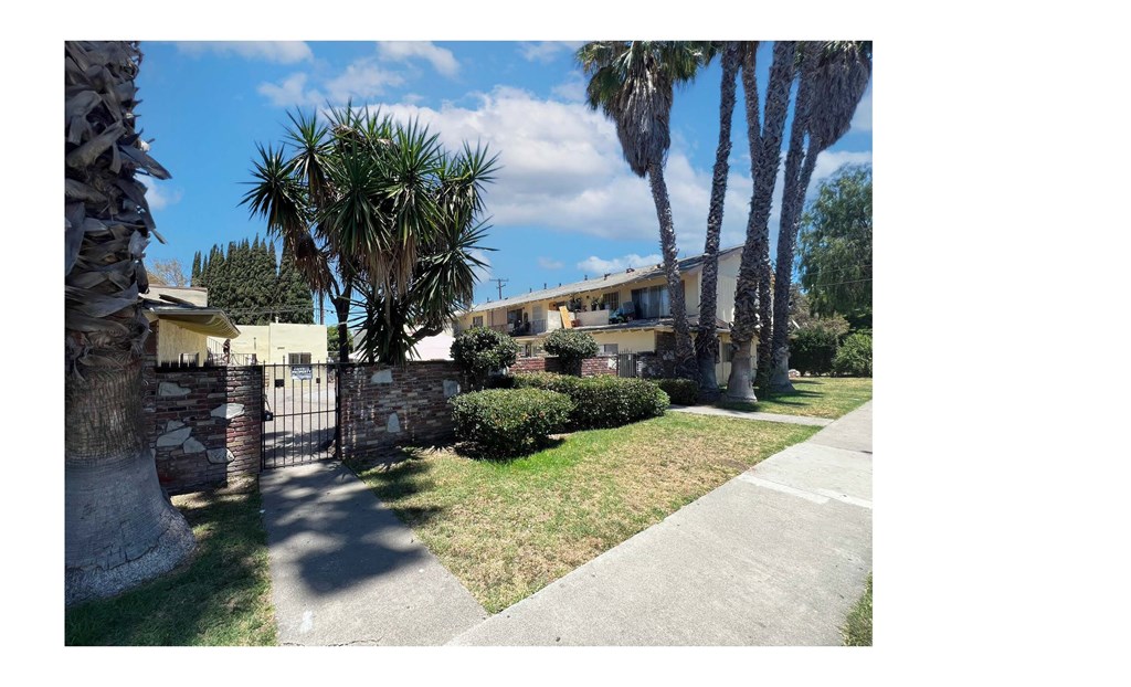 A sunny day in front of a house with a palm tree.