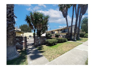 A sunny day in front of a house with a palm tree.