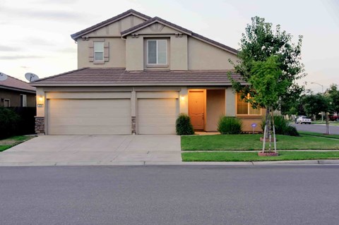 A house with a garage and a tree in front.