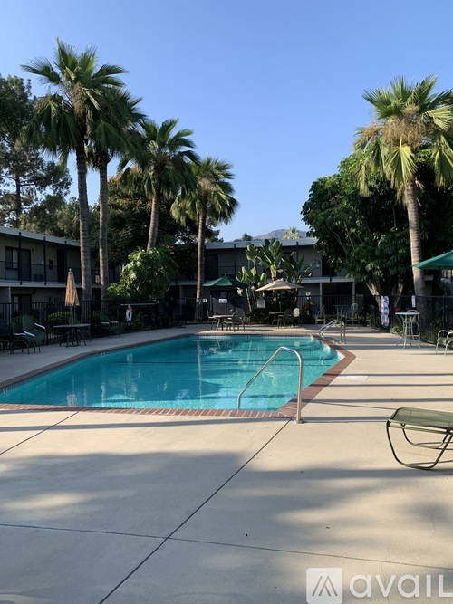 A pool surrounded by palm trees and lounge chairs.