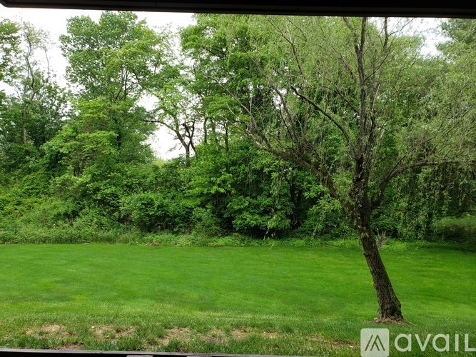 A tree stands alone in a grassy field.
