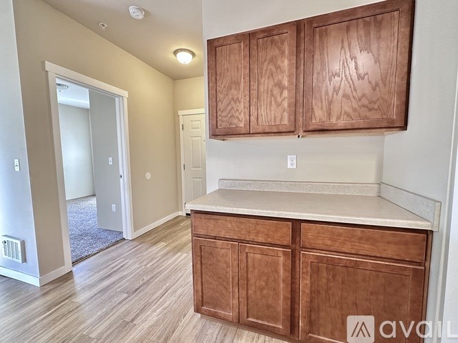 A kitchen with wooden cabinets and a countertop.