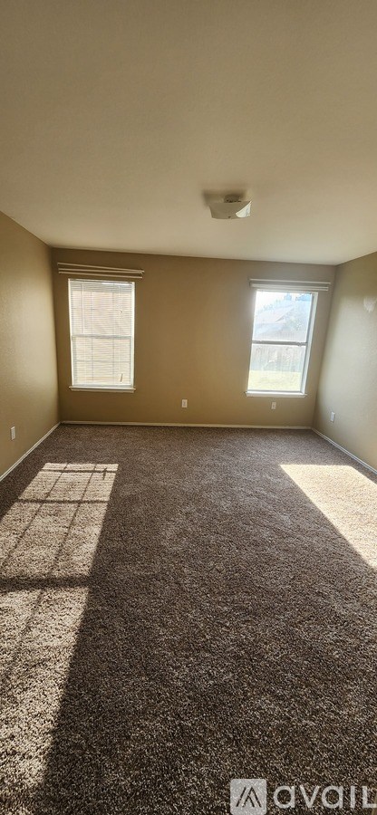 A room with a carpeted floor and two windows.