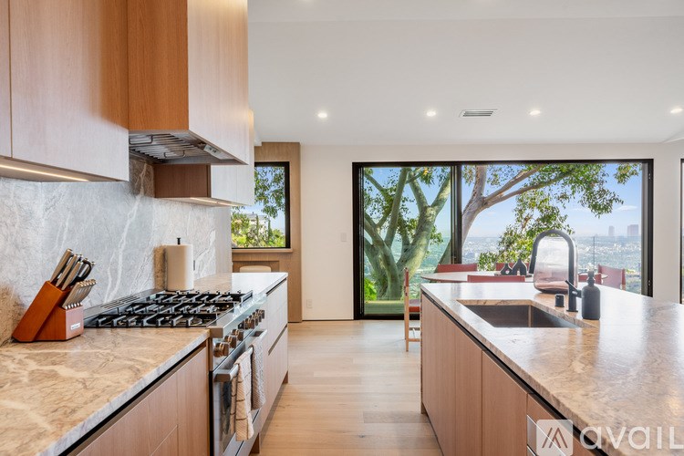 A modern kitchen with a view of the trees outside the window.