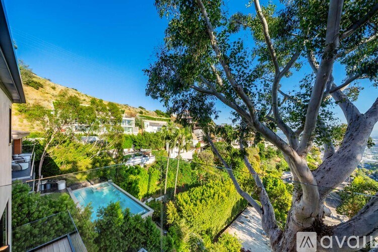 A tree in the foreground with a pool and houses in the background.