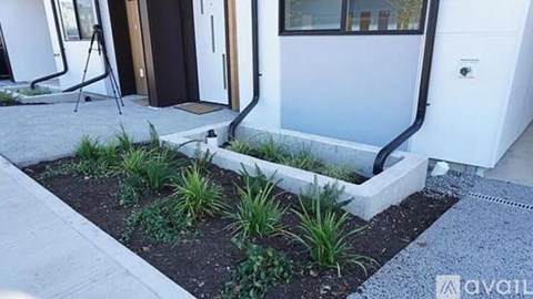 A white house with a black door and a small garden in front.