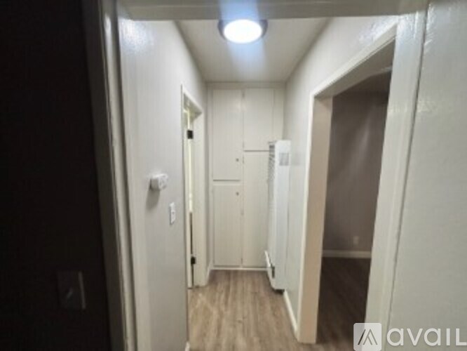 A hallway with white doors and a light on the ceiling.