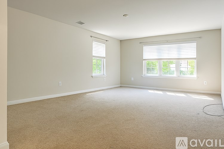 A room with beige carpet and two windows with blinds.