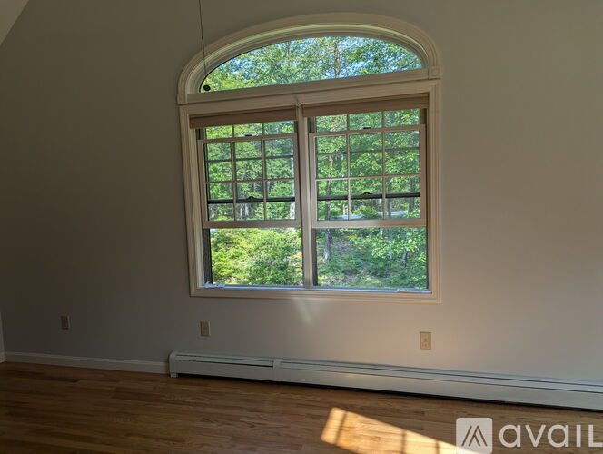 A window with a view of trees and a wall with a window sill.