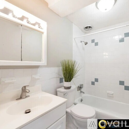 A white sink and toilet in a bathroom with a plant on the toilet.