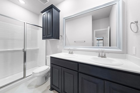 A bathroom with a white sink and a black cabinet.