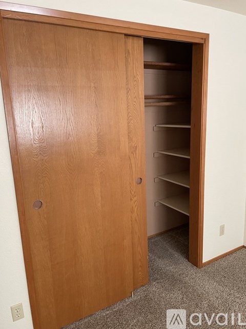A wooden door with shelves inside is open.