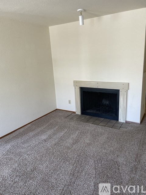 A room with a fireplace and carpeted floor.
