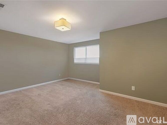 A room with a carpeted floor and a window.