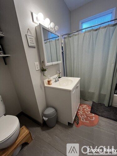 A bathroom with a sink, mirror, toilet and a rug on the floor.