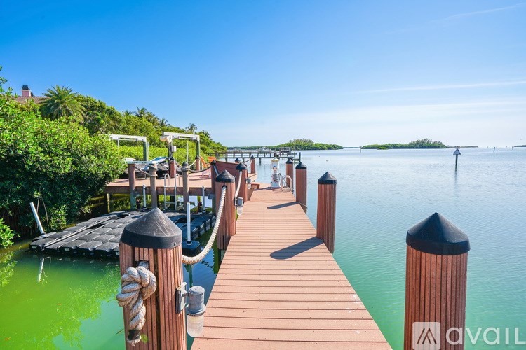 A wooden pier extends into a body of water with green algae.