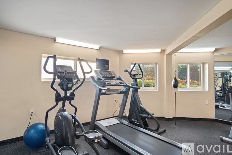 A gym with a treadmill, elliptical trainer, and a stationary bike.