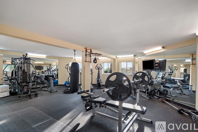 A well-equipped gym with various exercise machines and weights.
