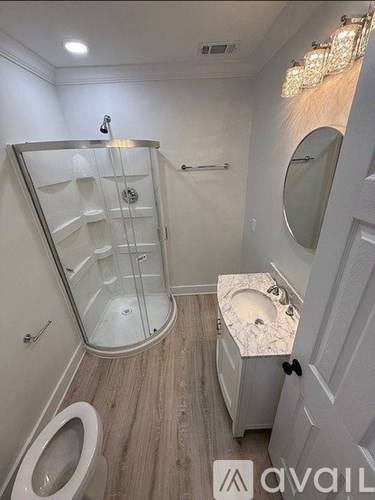A bathroom with a walk-in shower and a toilet.