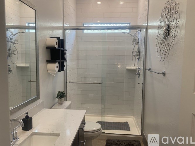 A bathroom with a walk-in shower and a toilet.