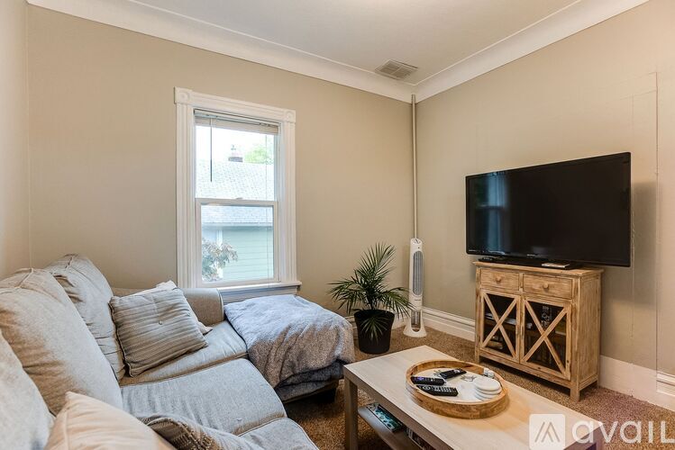 A living room with a couch, a television, and a plant.