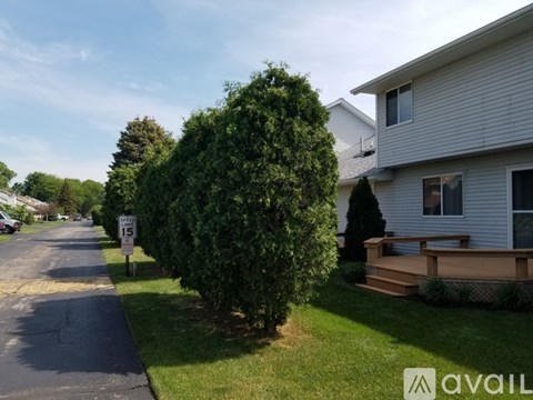 A residential street with a house on the right and a tree in the foreground.