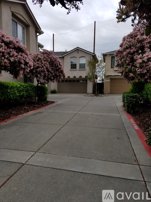 A residential area with a house and a driveway.