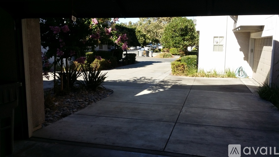 A view of a driveway leading to a house with a white exterior.