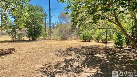 A backyard with a dirt ground and trees.