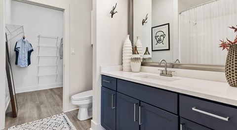 A bathroom with a white sink and a mirror.
