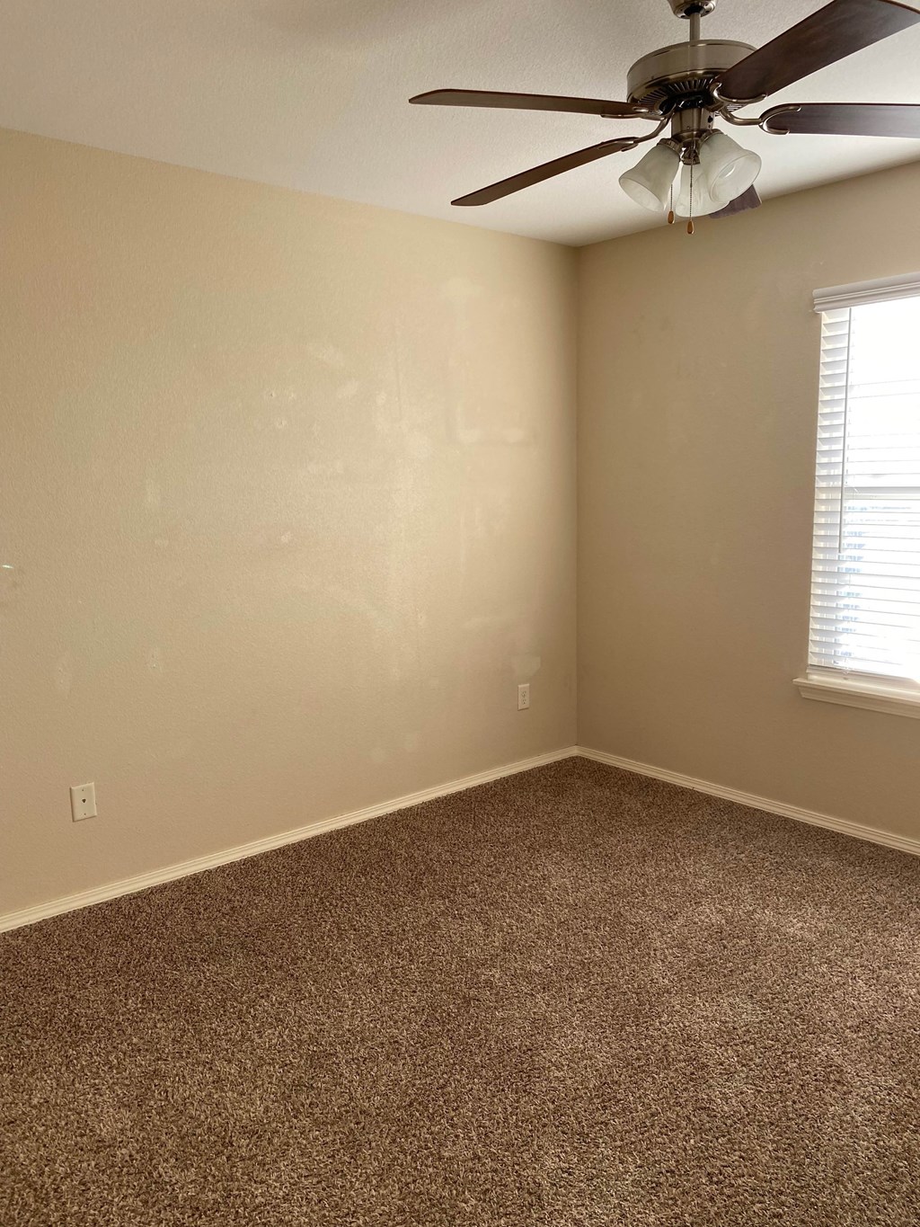 A room with a ceiling fan and carpeted floor.