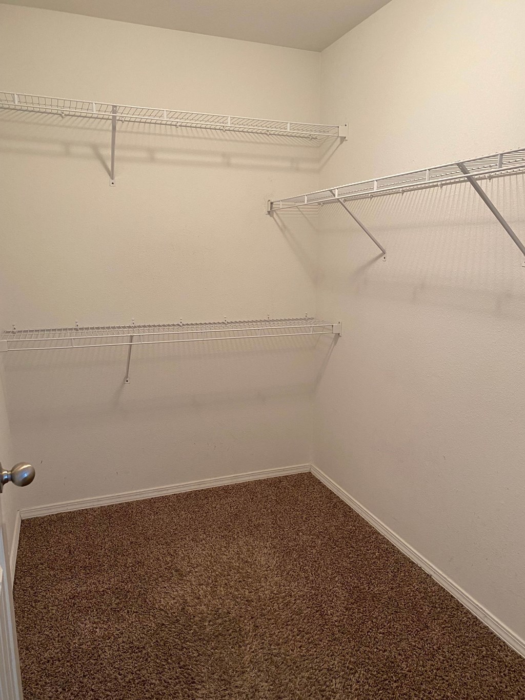 Empty room with shelves and carpeted floor.